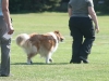 2011-05-28 Obedience - 39