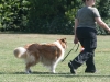 2011-05-28 Obedience - 57