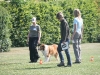 2011-05-28 Obedience - 60