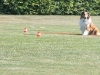 2011-05-28 Obedience - 73