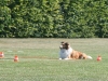 2011-05-28 Obedience - 74