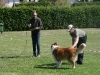 2011-05-28 Obedience - 92