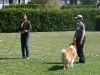 2011-05-28 Obedience - 93