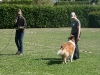 2011-05-28 Obedience - 94