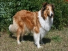 2011-06-02-schnappschusse-18