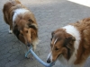 2011-06-02-schnappschusse-32