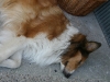 2011-06-02-schnappschusse-50