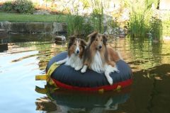 2011-06-28 Schwimmen