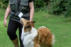 2011-07-09 DVG Scharzfeld