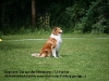 2011-07-09 HSV Scharzfeld - 10