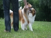 2011-07-21 Urlaub - 109