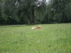 2011-07-21 Urlaub - 114