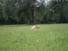 2011-07-21 Urlaub - 115
