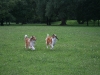 2011-07-21 Urlaub - 57