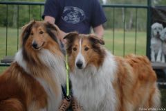 2011-09-04 SGV Langelsheim