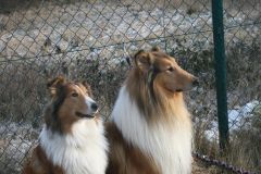 2012-02-05 Hochzeit El-Lobo