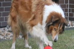 2012-03-09 Futterkegel