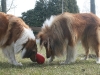 2012-03-09 Futterkegel - 1