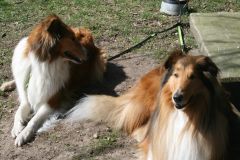 2012-03-28 Nach Eva Training