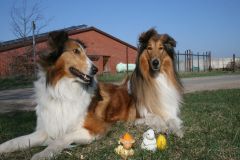 2012-04-09 Ostern