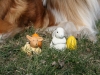 2012-03-28 Ostern - 11