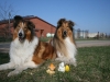 2012-03-28 Ostern - 5