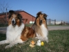 2012-03-28 Ostern - 6