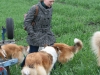 2012-04-24 Collies vom weiten Blick - 24