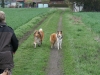 2012-04-24 Collies vom weiten Blick - 30