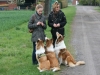 2012-04-24 Collies vom weiten Blick - 31