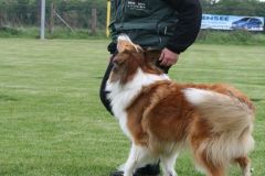 2012-05-12 GHS Wob - Grace