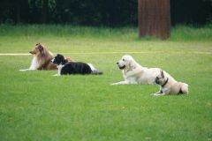 2012-05-20 PHV Misburg - Anouk