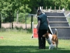 2012-05-20 PHV Misburg - Grace - 30