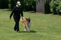 2012-06-02 DV Wesermünde Grace