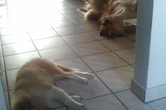 2012-07-23 Einzug Giny