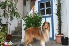 2012-07-27 Schwimmen