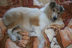 2012-08-01 Müde bin ich