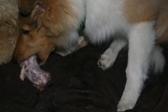 2012-08-04 Knochenmahlzeit