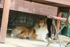 2012-08-08 Besuch Akira