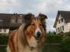 2012-08-09 Besuch Schweiz - 13