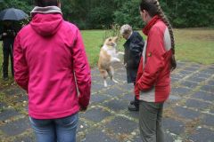 2012-09-27 Obi Seminar - Giny