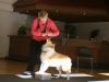 2012-09-28-obedience-seminar-10