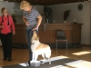 2012-09-28-obedience-seminar-16