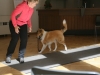 2012-09-28-obedience-seminar-21