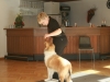 2012-09-28-obedience-seminar-23