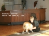 2012-09-28-obedience-seminar-26