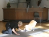 2012-09-28-obedience-seminar-29