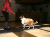 2012-09-28-obedience-seminar-3