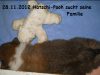 2012-11-28 H-Wurf Hatschi-Pooh - 7