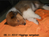 2012-11-28 H-Wurf Higgings - 2